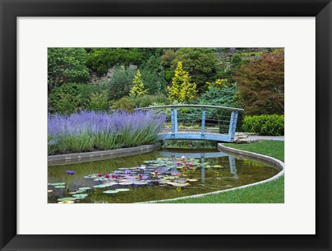 Framed Serenity Print