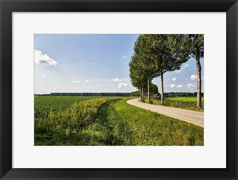 Framed Road Ahead Print