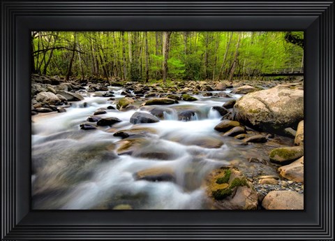 Framed Below the Bridge Print