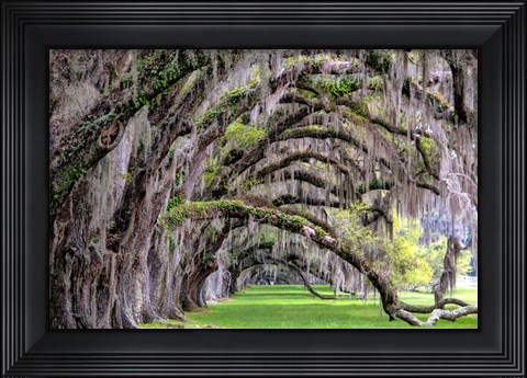 Framed Hanging to the Right Print