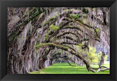 Framed Hanging to the Right Print