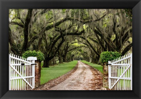 Framed Plantation Road Print