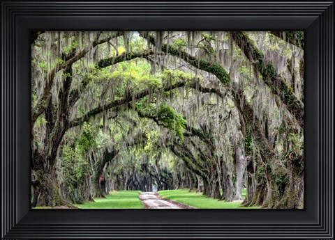 Framed Old South Print