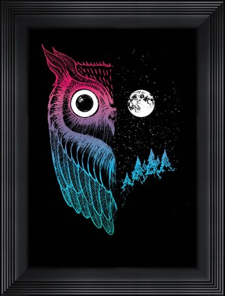 Framed Night Owl Print