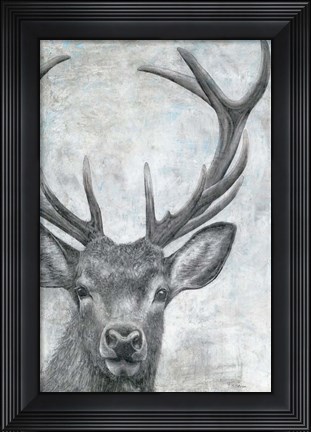 Framed Portrait of a Deer Print