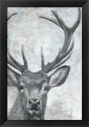 Framed Portrait of a Deer Print