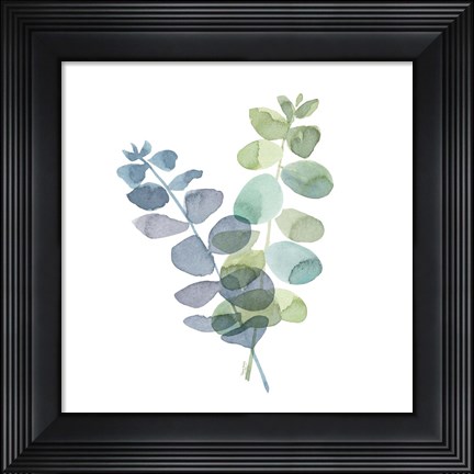 Framed Natural Inspiration Blue Eucalyptus on White I Print