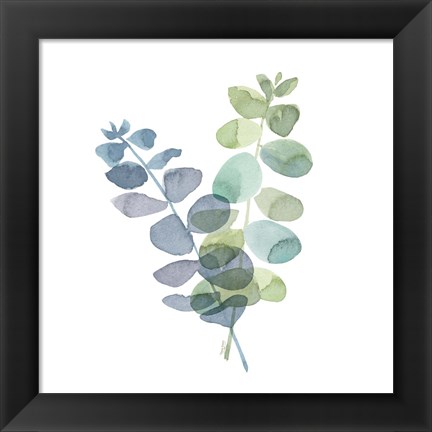 Framed Natural Inspiration Blue Eucalyptus on White I Print