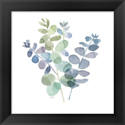 Framed Natural Inspiration Blue Eucalyptus on White II Print