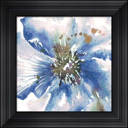 Framed Blue Watercolor Poppy Close Up II Print