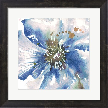 Framed Blue Watercolor Poppy Close Up II Print