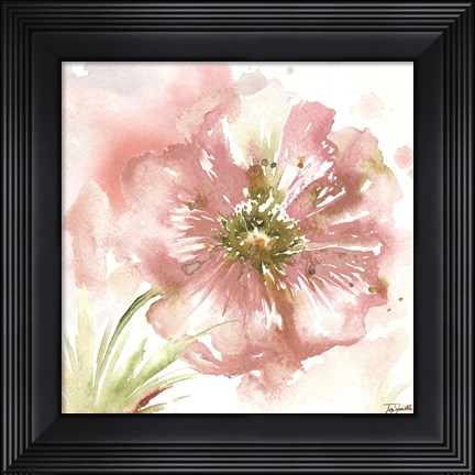 Framed Blush Watercolor Poppy I Print