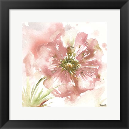 Framed Blush Watercolor Poppy I Print