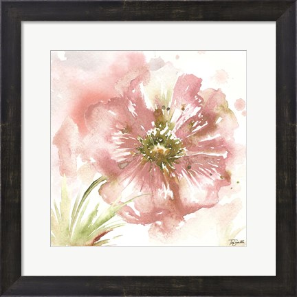 Framed Blush Watercolor Poppy I Print