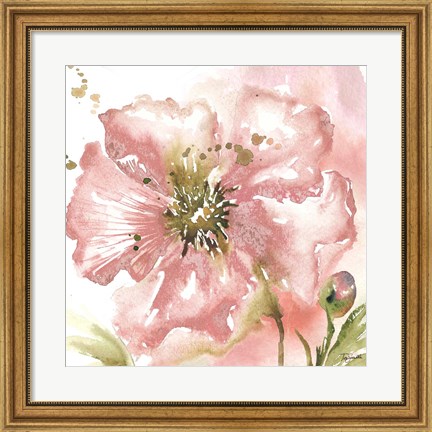 Framed Blush Watercolor Poppy II Print