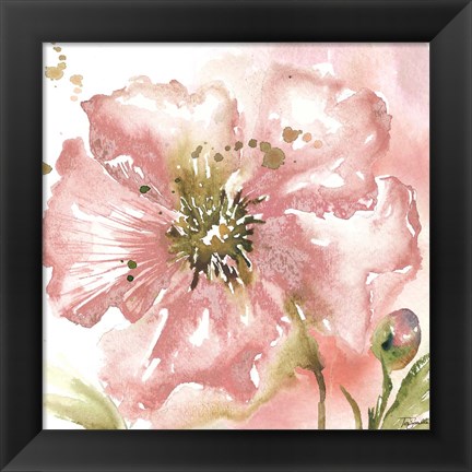 Framed Blush Watercolor Poppy II Print