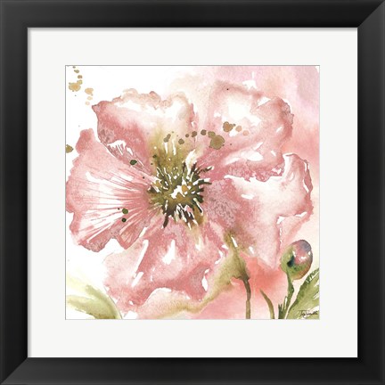 Framed Blush Watercolor Poppy II Print