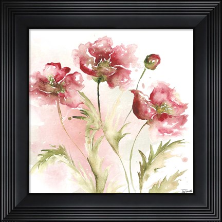 Framed Blush Watercolor Poppy III Print