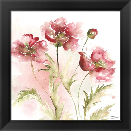 Framed Blush Watercolor Poppy III Print