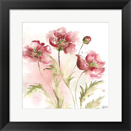 Framed Blush Watercolor Poppy III Print