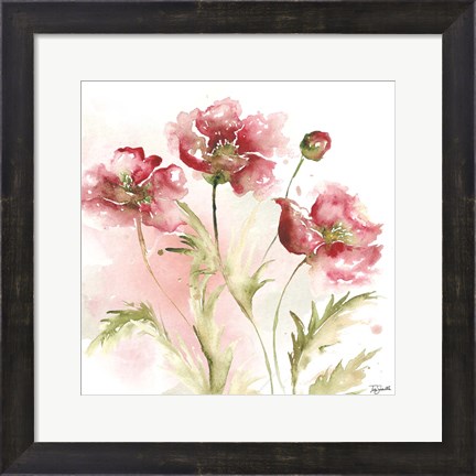 Framed Blush Watercolor Poppy III Print