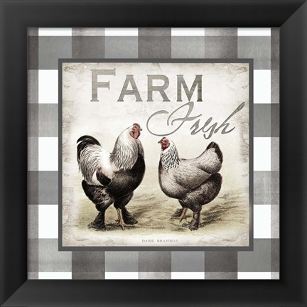 Framed Buffalo Check Farm House Chickens Neutral II Print