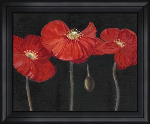 Framed Poppy Trio I Print
