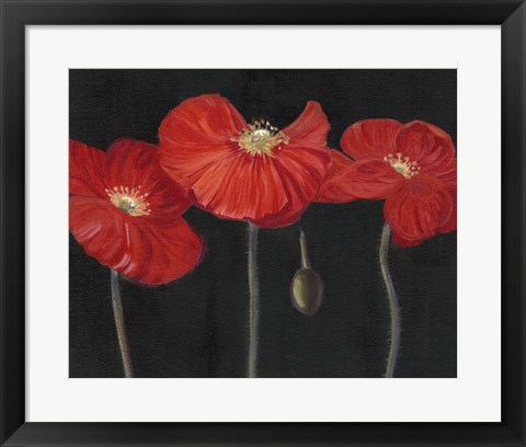 Framed Poppy Trio I Print