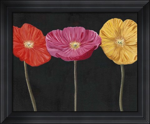 Framed Poppy Trio II Print