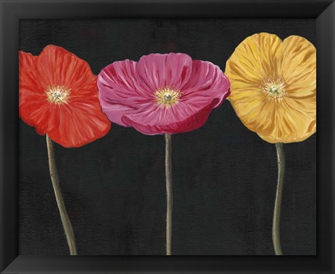 Framed Poppy Trio II Print