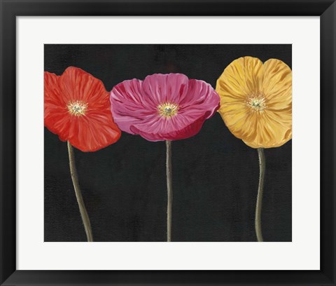 Framed Poppy Trio II Print