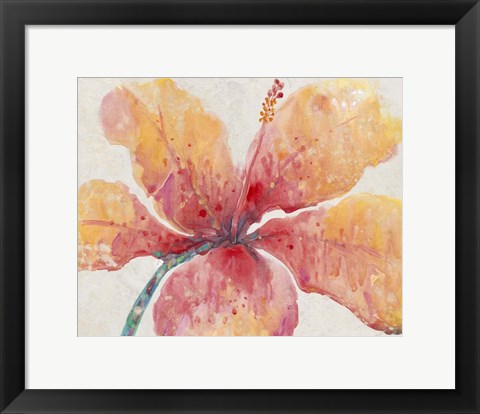 Framed Blooming Hibiscus Print