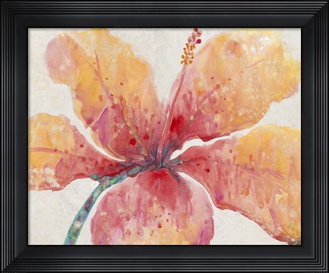Framed Blooming Hibiscus Print