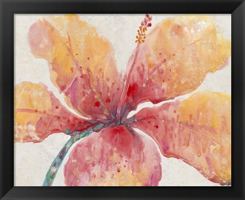 Framed Blooming Hibiscus Print