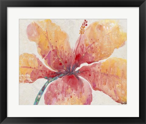 Framed Blooming Hibiscus Print