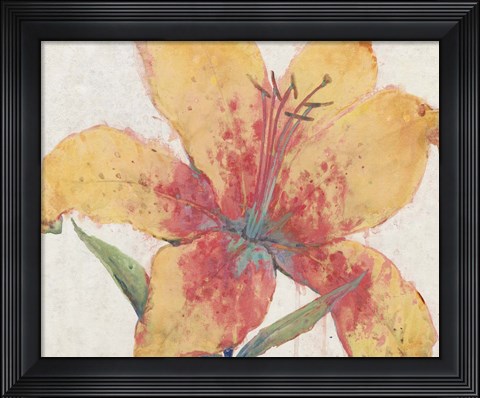 Framed Blooming Lily Print