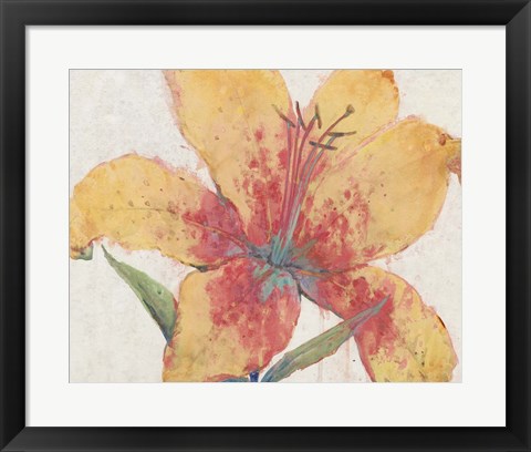 Framed Blooming Lily Print