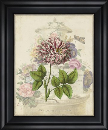 Framed Vintage Rose Bookplate Print