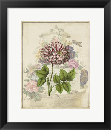 Framed Vintage Rose Bookplate Print