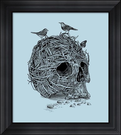 Framed Skull Nest Print