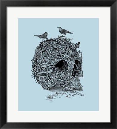 Framed Skull Nest Print