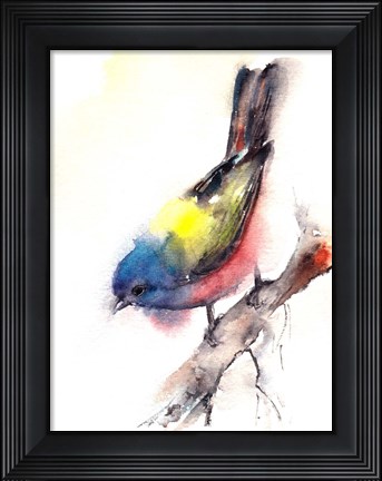 Framed Bunting Bird Print