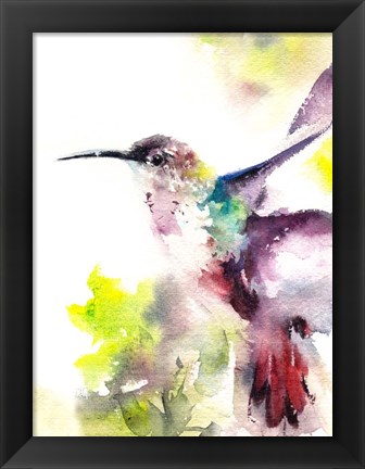 Framed Hummingbird Print