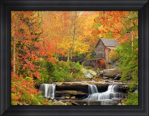 Framed Autumn Splendor Print