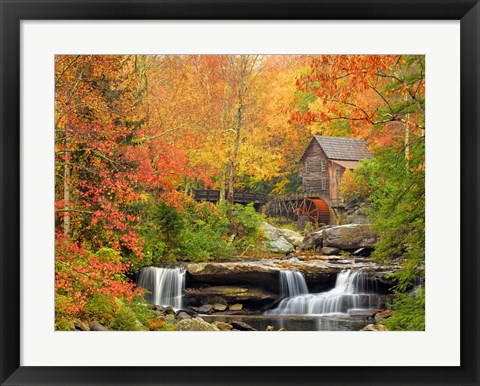 Framed Autumn Splendor Print