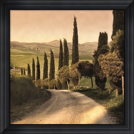 Framed Country Lane, Tuscany Print
