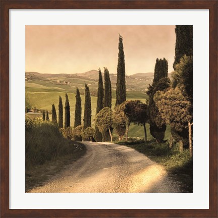 Framed Country Lane, Tuscany Print