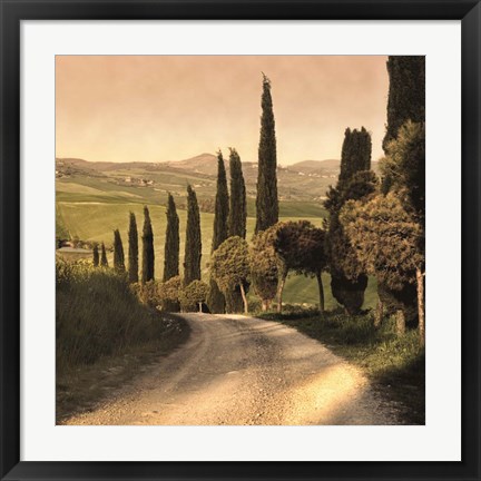 Framed Country Lane, Tuscany Print