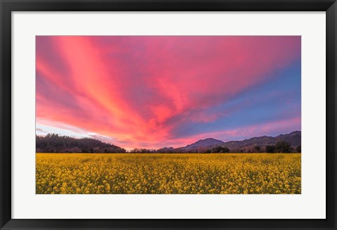 Framed Spring Sunset Napa Valley Print