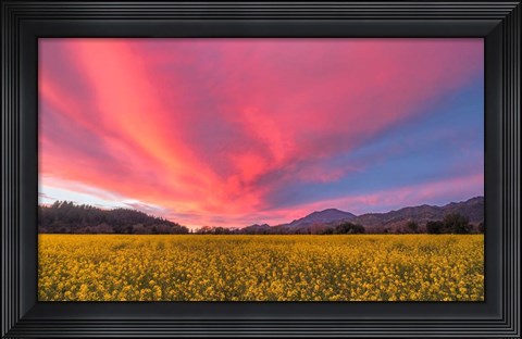 Framed Spring Sunset Napa Valley Print